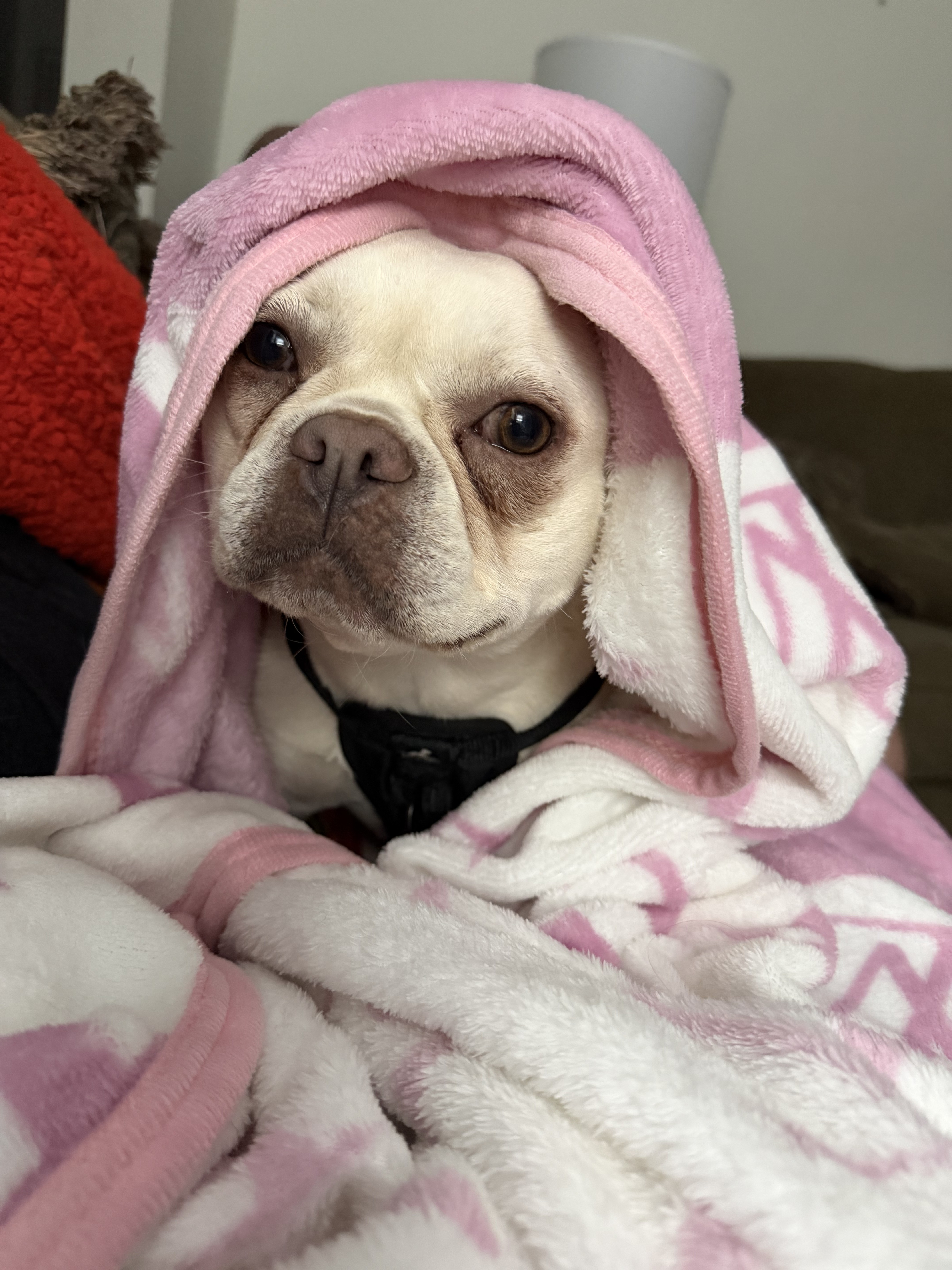 Willow - Salon Sweetheart at Olympus Nails & Spa